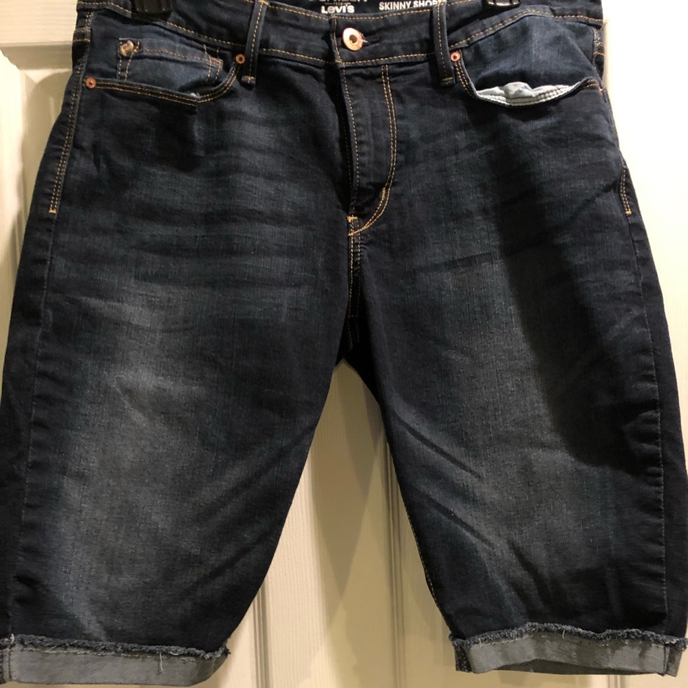 Levi Denizen Short 12